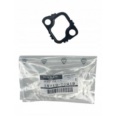 Joint de Vanne EGR Pour Renault Mercedes-Benz Opel Movano B Nissan Interstar