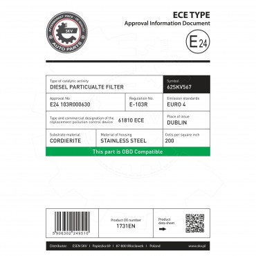 FAP Filtre à Particules Pour Peugeot 207 307 308 407 1007 3008 5008 Partner