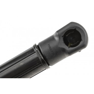 Vérin Hayon de Coffre Pour BMW Série 5 G31 51249482791