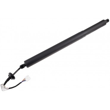 Vérin Hayon de Coffre Gauche Pour Renault Austral 904519468R