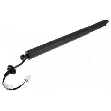 Vérin Hayon de Coffre Droit Pour Renault Austral 904517907R