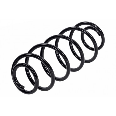 Ressort de Suspension Arrière Pour Citroën C3 5102AP