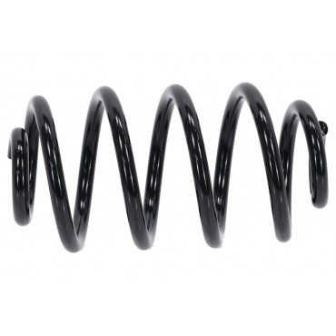 Ressort de Suspension Arrière Pour Opel Vectra C 424070 424071 424083 424084