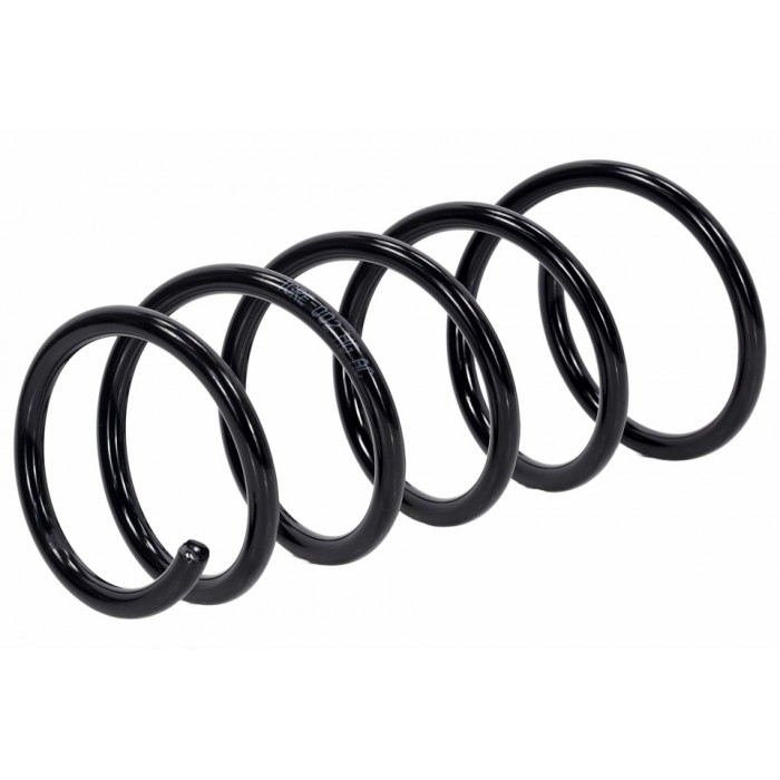 Ressort de Suspension Arrière Pour Dacia Duster 550202720R