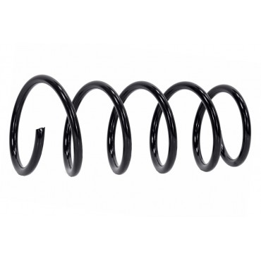 Ressort de Suspension Arrière Pour Dacia Duster 550202720R