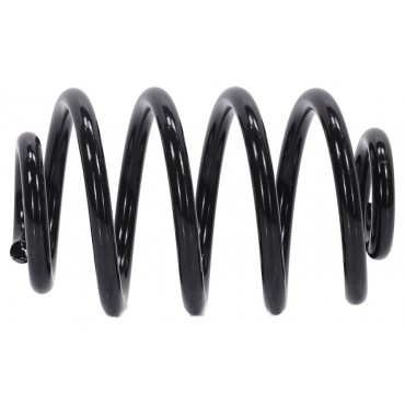 Ressort de Suspension Arrière Pour Renault Clio II 7700839337 8455287