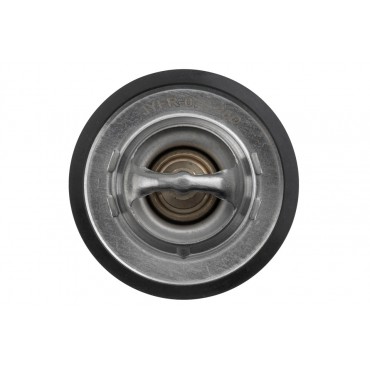 Thermostat d'Eau Pour Ford Escort V VI Fiesta IV KA Orion III Mazda 121 III