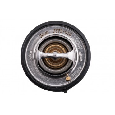 Thermostat d'Eau Pour Peugeot 4008 Citroën Mitsubishi 1041050FB 1041050FD020