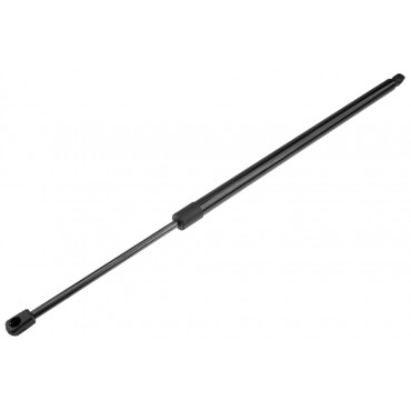 Vérin Hayon de Coffre Gauche Pour Chrysler Pacifica 68230342AE 68230342AF