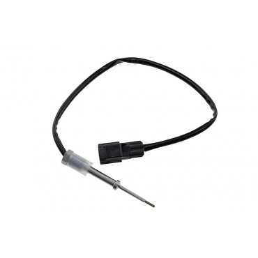 Sonde température gaz...