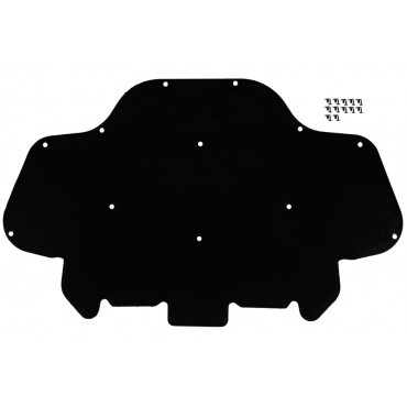 Isolant Compartiment Moteur Pour BMW X5 F95 G05 X6 F96 G06 51487189921