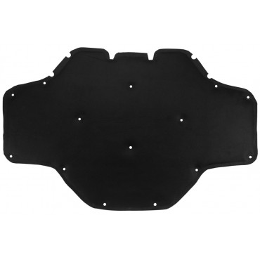 Isolant Compartiment Moteur Pour BMW X3 F97 G01 G08 X4 F98 G02 51487395564