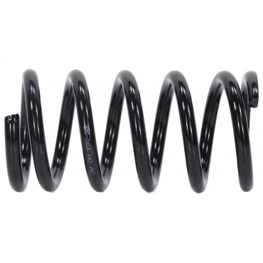 Ressort de Suspension Arrière Pour Mitsubishi Grandis MR594434 MR594435