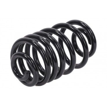 Ressort de Suspension Arrière Pour Renault Opel Nissan 550202870R 4409728