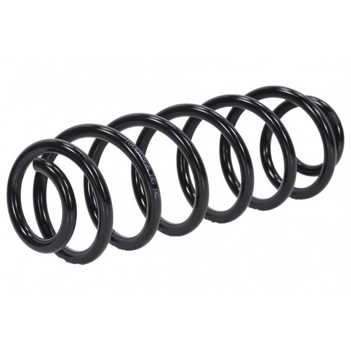 Ressort de Suspension Arrière Pour VW Golf V VI Skoda Superb II