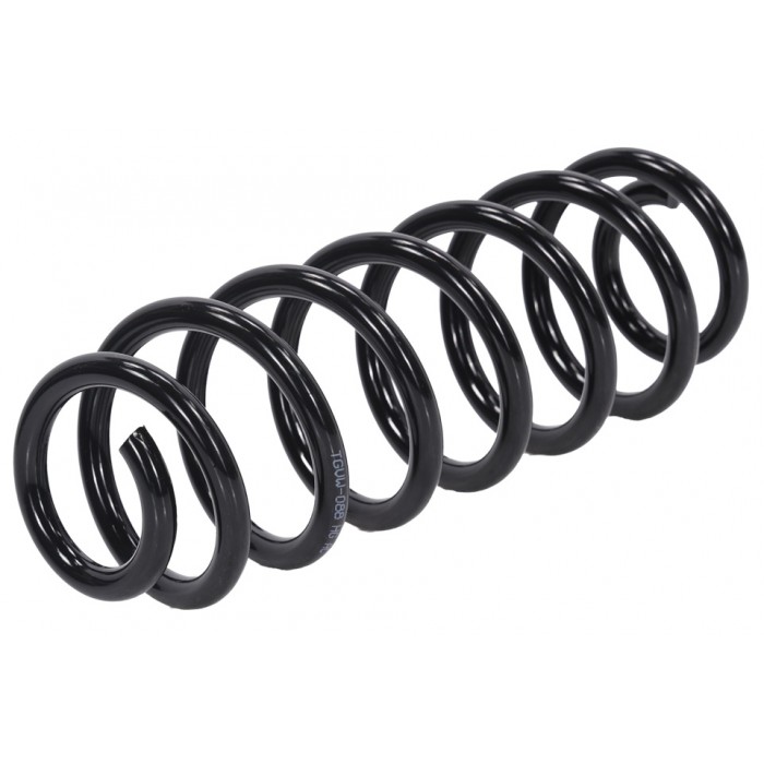 Ressort de Suspension Arrière Pour VW Passat 3C0511115AR