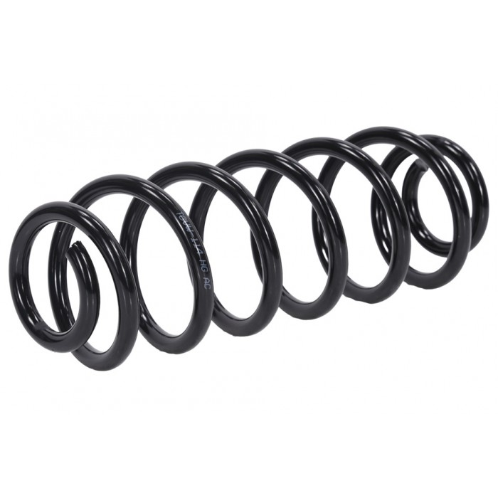 Ressort de Suspension Arrière Pour VW Passat 3C0511115AE