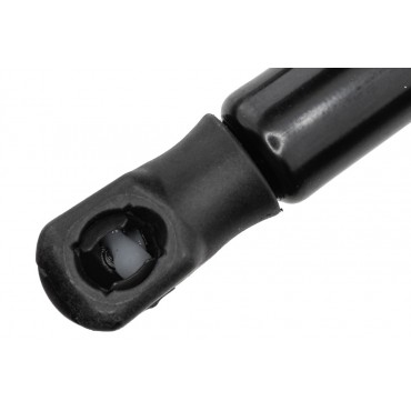 Vérin de Coffre Pour Renault Megane IV 844308399R