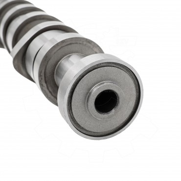 Arbre à Cames Pour VW California T5 Camper Multivan V Touareg Transporter Mazda