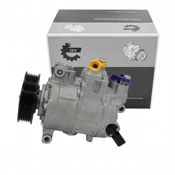 Compresseur de Clim Pour Audi A4 A6 Seat Exeo