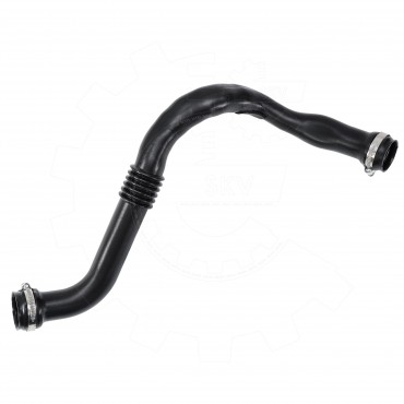 Durite d'Air d'Admission Pour Renault Megane II Scénic 8200363471 8200451005