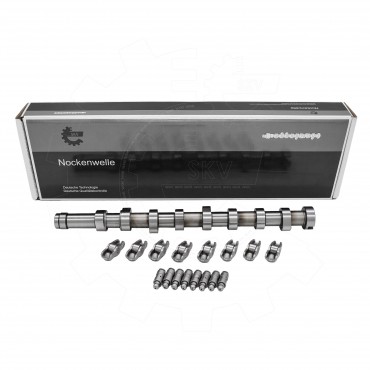 Arbre à Cames Pour Peugeot Opel Fiat Ford B-Max C-Max II Ecosport AV6Q6250BA