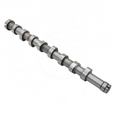 Arbre à Cames Pour Peugeot Opel Fiat Ford B-Max C-Max II Ecosport AV6Q6250BA