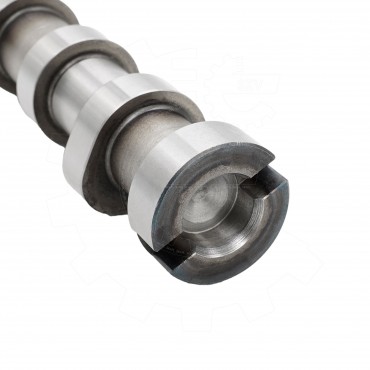 Arbre à Cames Pour Peugeot Opel Fiat Ford B-Max C-Max II Ecosport AV6Q6250BA