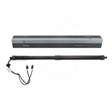 Vérin de Coffre Arrière Gauche Pour Citroën C4 9812130180