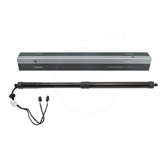 Vérin de Coffre Arrière Gauche Pour Citroën C4 9812130180