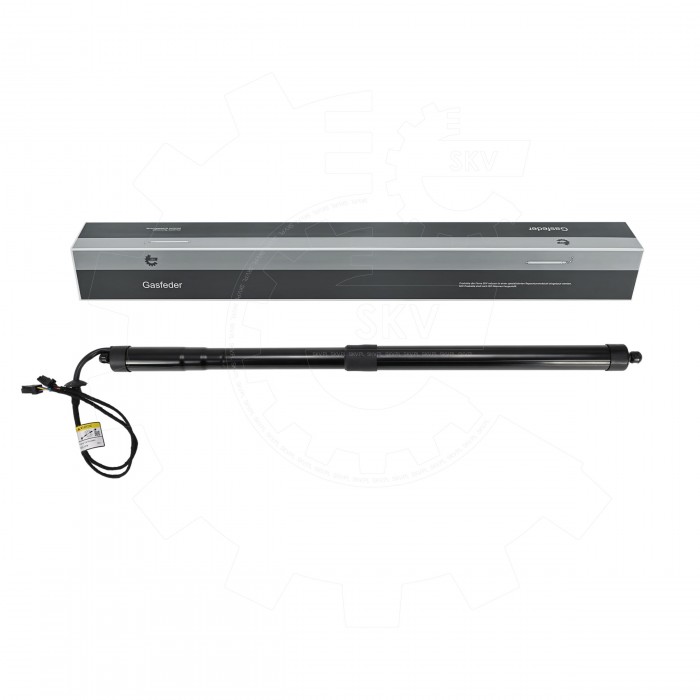 Vérin de Coffre Arrière Droit Pour Citroën C4 9812130080