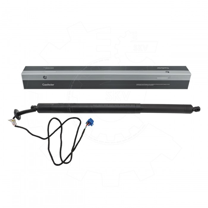 Vérin de Coffre Arrière Droit Pour Mercedes-Benz Classe B A2478905600