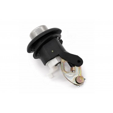Bouton Poussoir Hayon de Coffre Pour Renault Clio II Van Thalia Dacia Logan