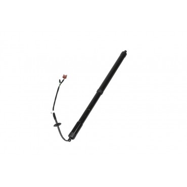 Vérin Hayon de Coffre Pour Renault Talisman