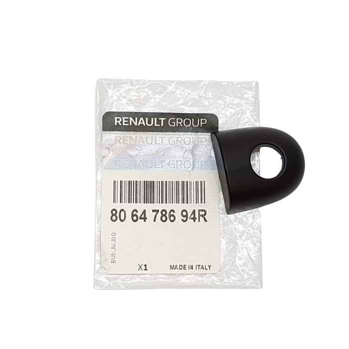 Bouton Cache Poignée de Porte Extérieur Pour Renault Grand Scénic II III