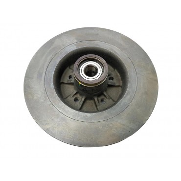 1 Disque de Frein Arrière Pour Renault Megane II 8200266043