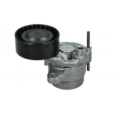 Galet Tendeur Courroie d'Accessoire Pour Peugeot 208 301 Opel Toyota Citroën
