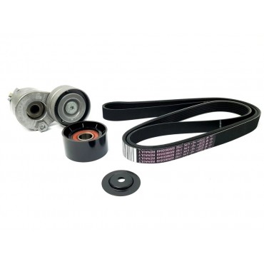 Kit Galet Courroie d'Accessoire Pour Renault Opel Nissan Mitsubishi 117200713R