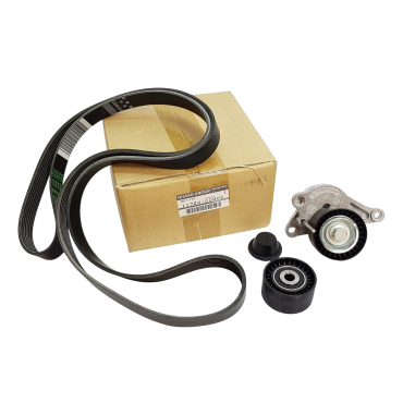 Kit Galet Courroie d'Accessoire Pour Renault Opel Movano B Nissan Vauxhall