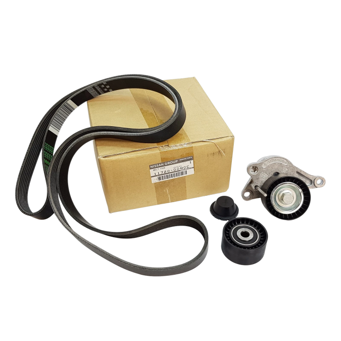 Kit Galet Courroie d'Accessoire Pour Renault Opel Movano B Nissan Vauxhall