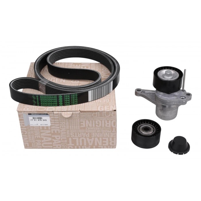 Kit Galet Courroie d'Accessoire Pour Renault Opel Movano B Nissan Vauxhall