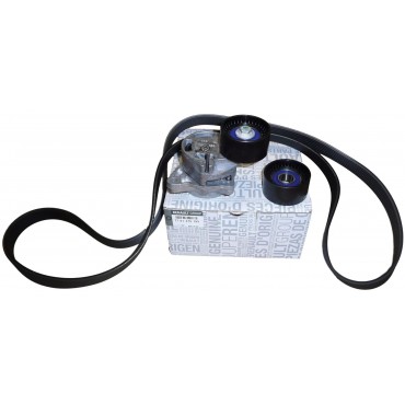 Kit Galet Courroie d'Accessoire Pour Renault Opel Movano Nissan 8200200665