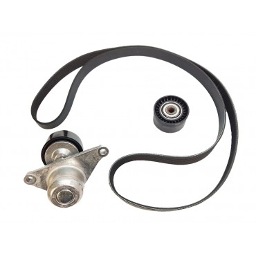 Kit Galet Courroie d'Accessoire Pour Renault Opel Fiat Nissan 117200334R