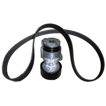 Kit Galet Courroie d'Accessoire Pour Renault Captur Clio II III IV Dacia Nissan