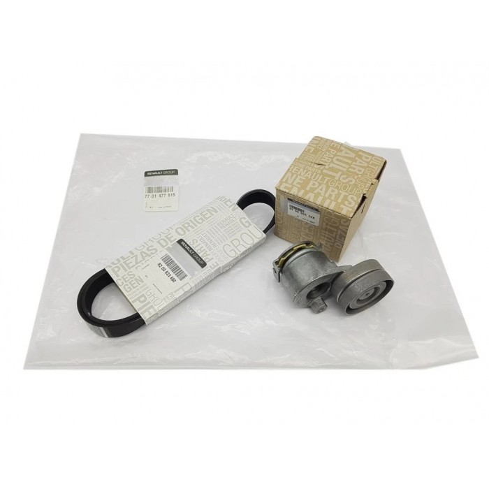 Kit Galet Courroie d'Accessoire Pour Renault Grand Scénic II III Megane CC