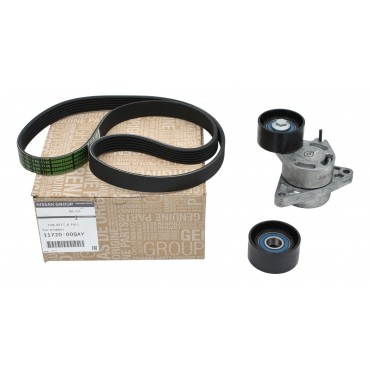 Kit Galet Courroie d'Accessoire Pour Renault Opel Movano Vivaro A Nissan