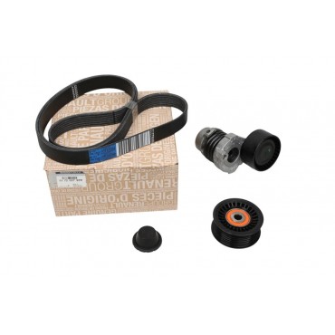 Kit Galet Courroie d'Accessoire Pour Renault Dacia Nissan 117203790R, 117203336R