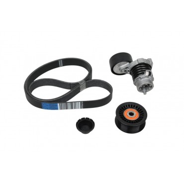 Kit Galet Courroie d'Accessoire Pour Renault Dacia Nissan 117203790R, 117203336R
