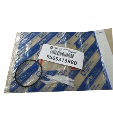 Joint Torique de Pompe à Vide Pour Fiat Ducato