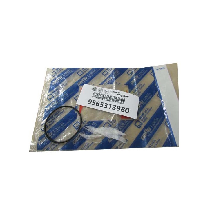 Joint Torique de Pompe à Vide Pour Fiat Ducato